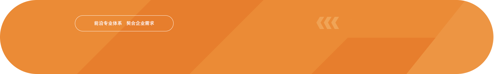 四大(dà)特色專業